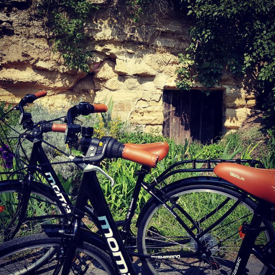 Le Panoramique Auvers Exterior photo